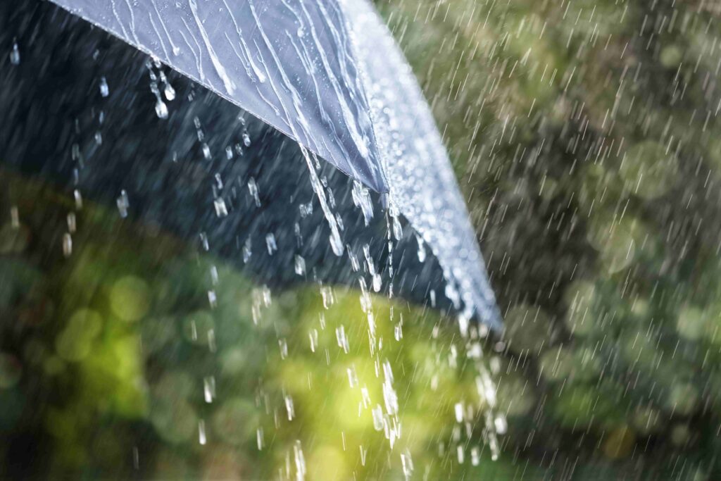 photo of Rain drops falling from a black umbrella