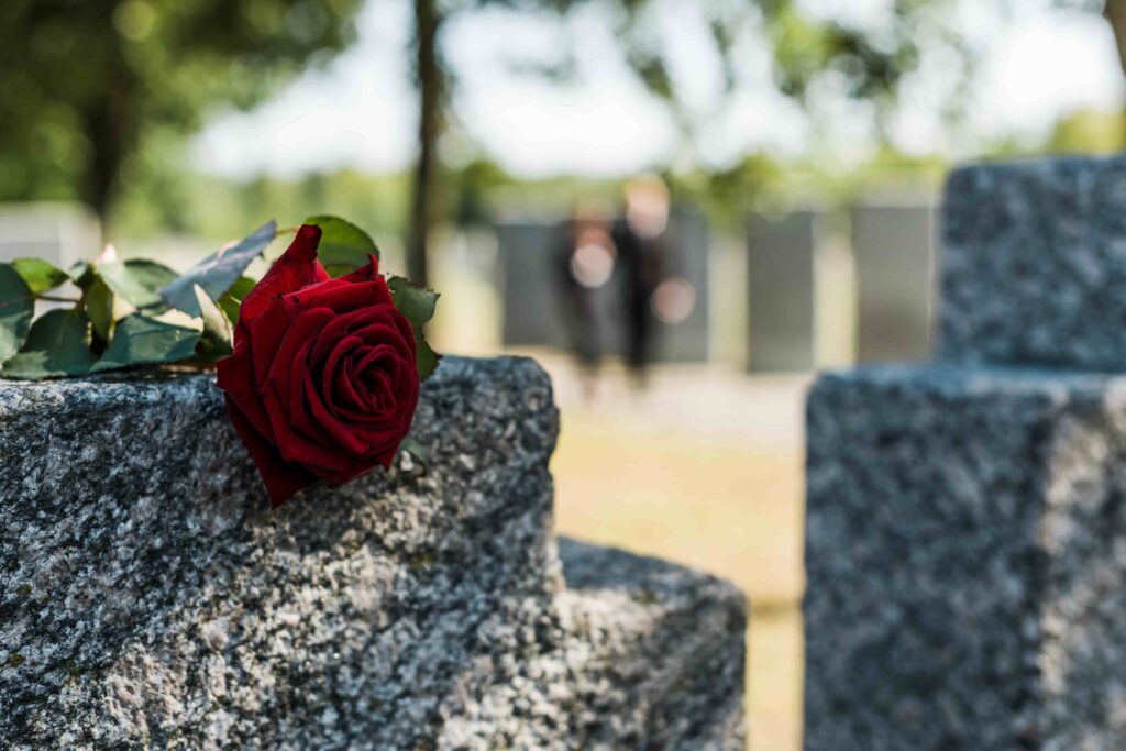 photo of a Red Rose on A Gravestone