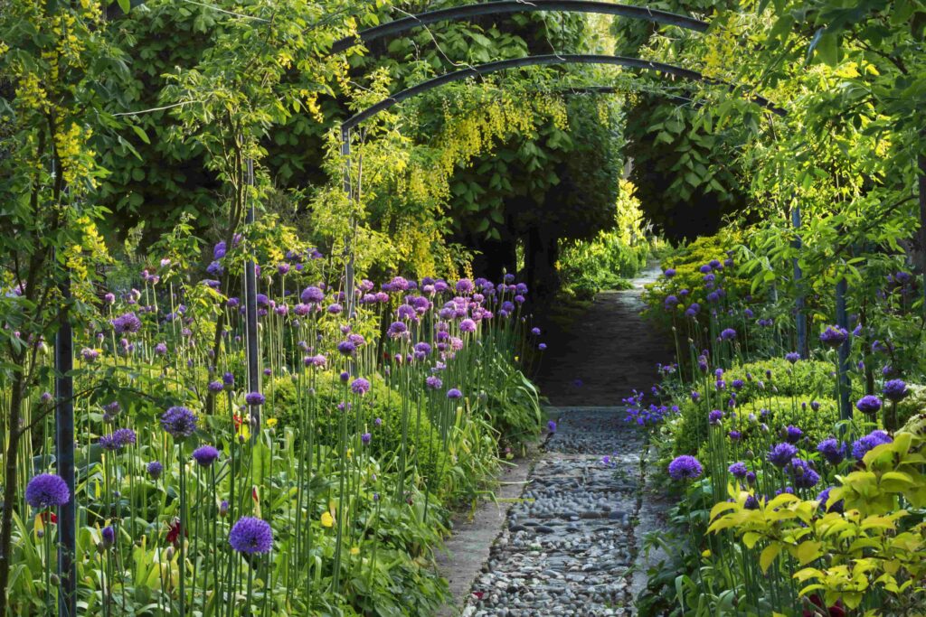 photo of a Garden pathway